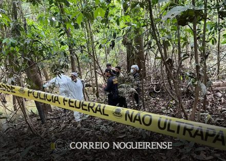 amazonia-tem-taxa-de-assassinatos-superior-a-media-nacional-correio-nogueirense