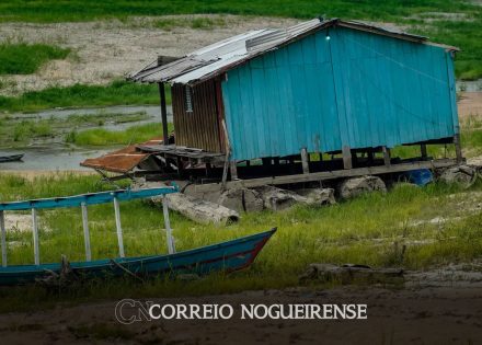 bacia-amazonica-registra-menores-volumes-de-chuva-em-mais-de-40-anos-correio-nogueirense