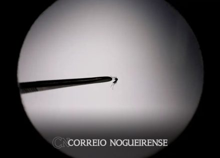brasil-bate-recorde-de-mortes-por-dengue-em-2023-correio-nogueirense