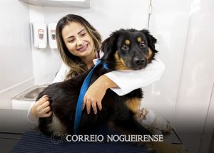 dezembro-verde-artur-nogueira-se-une-contra-maus-tratos-e-abandono-de-animais-correio-nogueirense