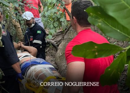 equipe-do-192-resgata-adolescente-em-area-rural-de-artur-nogueira-apos-queda-de-5-metros-correio-nogueirense-capa