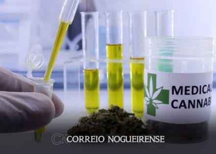 governo-de-sp-regulamenta-fornecimento-de-cannabis-medicinal-pelo-sus-correio-nogueirense