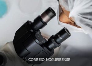 impacto-academico-da-ciencia-brasileira-aumentou-21-de-1996-a-2022-correio-nogueirense