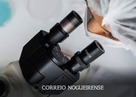 impacto-academico-da-ciencia-brasileira-aumentou-21-de-1996-a-2022-correio-nogueirense