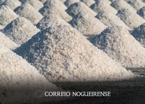 o-que-e-o-sal-gema-e-por-que-sua-extracao-gerou-problemas-em-maceio-correio-nogueirense