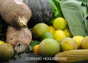 png_20231207_091423_0000