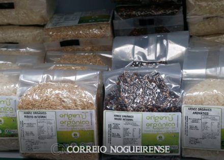 png_20231211_085704_0000