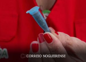 quantidade-de-drogas-k-apreendida-em-2023-e-11-vezes-maior-ante-todo-o-ano-de-2022-correio-nogueirense