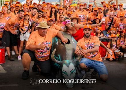 bloco-da-vaca-divulga-ensaios-para-carnaval-de-artur-nogueira-2024-correio-nogueirense