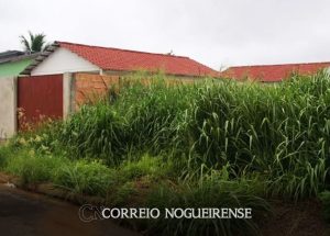 fiscalizacao-de-posturas-notifica-proprietarios-para-limpeza-de-terrenos-em-artur-nogueira-correio-nogueirense