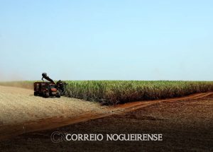 projecao-da-safra-de-graos-2023-24-cai-para-3064-milhoes-de-toneladas-correio-nogueirense