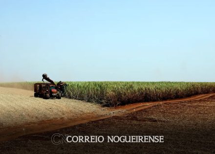 projecao-da-safra-de-graos-2023-24-cai-para-3064-milhoes-de-toneladas-correio-nogueirense