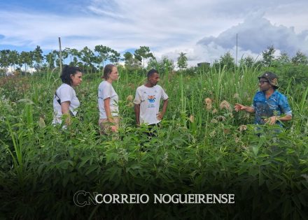 zona-rural-de-artur-nogueira-recebe-mais-de-1-600-mudas-de-especies-nativas-para-a-restauracao-da-biodiversidade-local-correio-nogueirense-capa