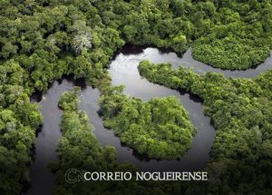 amazonia-corre-risco-de-entrar-em-colapso-em-2050-diz-artigo-correio-nogueirense
