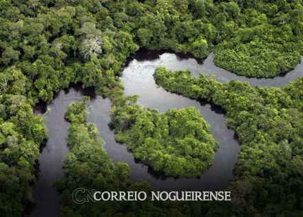 amazonia-corre-risco-de-entrar-em-colapso-em-2050-diz-artigo-correio-nogueirense