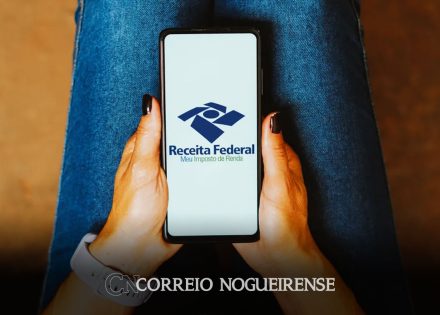 empresas-tem-ate-dia-29-para-enviar-comprovantes-de-rendimentos-correio-nogueirense