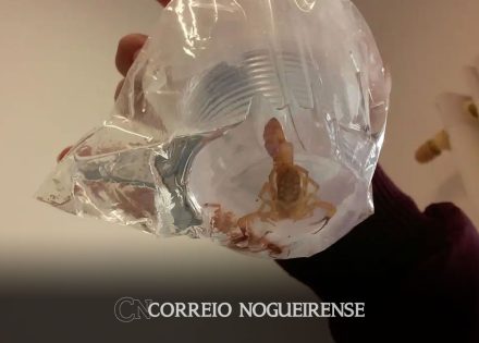 estado-de-sp-lanca-mapa-online-com-pontos-de-atendimento-com-soro-antiveneno-correio-nogueirense