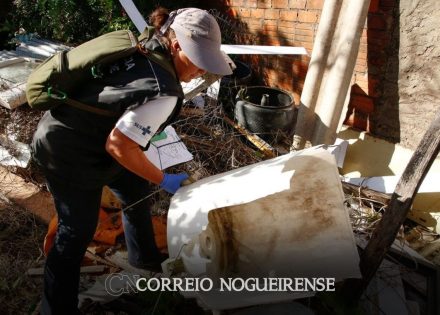 grande-mobilizacao-contra-a-dengue-acontecera-no-dia-1o-de-marco-correio-nogueirense