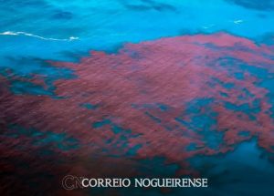 png_20240208_063453_0000