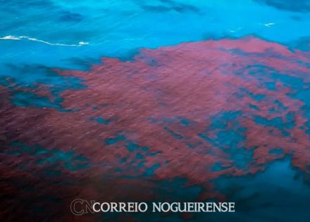 png_20240208_063453_0000