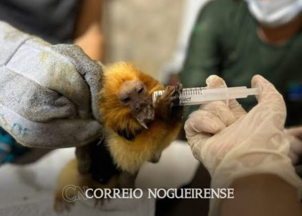 png_20240228_073536_0000