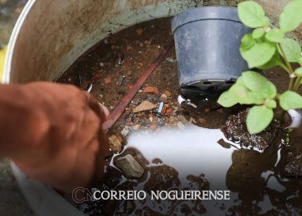 sobe-para-17-o-numero-de-mortes-por-dengue-no-estado-de-sao-paulo-correio-nogueirense