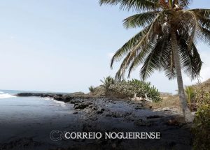 trinidad-e-tobago-estuda-pedir-ajuda-externa-por-derramamento-de-oleo-correio-nogueirense