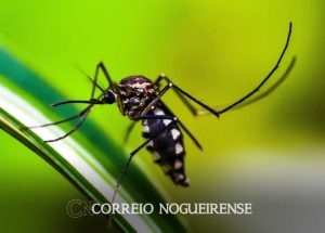 Design sem nome_20240311_190748_0000