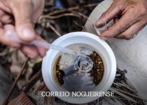 Design sem nome_20240328_072535_0000