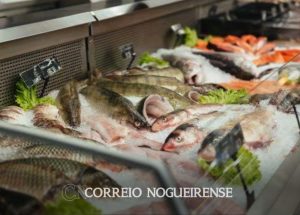 Design sem nome_20240328_080838_0000