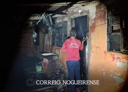 Design sem nome_20240331_021209_0000