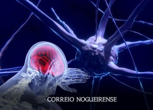 neurotecnologia-permitira-alterar-funcionamento-mental-diz-cientista-correio-nogueirense