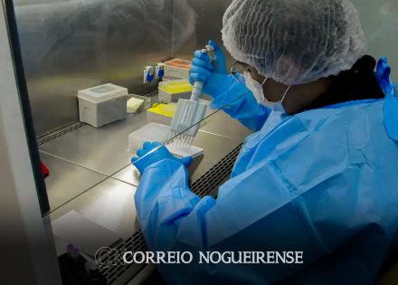 novo-teste-de-hpv-no-sus-pode-antecipar-diagnostico-em-ate-10-anos-correio-nogueirense