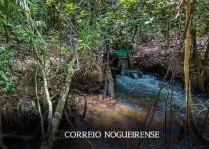 pesquisa-de-longo-prazo-aponta-impacto-ambiental-da-agricultura-correio-nogueirense