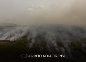 pl-que-muda-codigo-florestal-vai-desproteger-48-milhoes-de-hectares-correio-nogueirense
