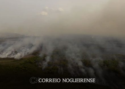 pl-que-muda-codigo-florestal-vai-desproteger-48-milhoes-de-hectares-correio-nogueirense