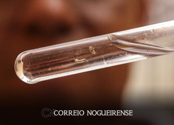 brasil-passa-de-4-milhoes-de-casos-de-dengue-mortes-chegam-a-1-937-correio-nogueirense