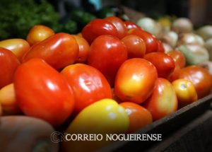 planos-de-saude-tomate-e-cebola-influenciam-inflacao-de-marco-correio-nogueirense
