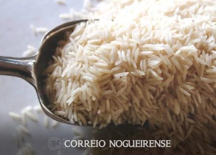 Design sem nome_20240508_092143_0000