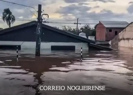 Design sem nome_20240508_093110_0000