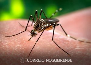 Design sem nome_20240513_102111_0000