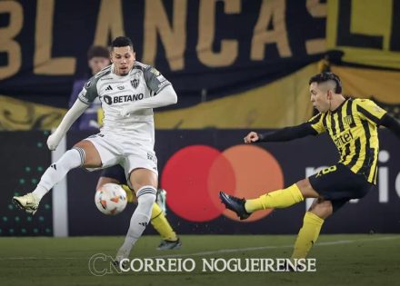 Design sem nome_20240515_100748_0000