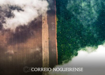 Design sem nome_20240520_085644_0000