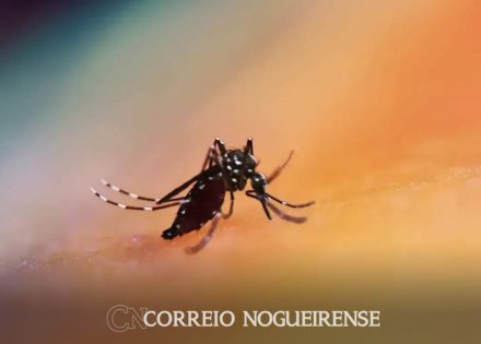 Design sem nome_20240522_080921_0000