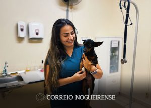 departamento-de-bem-estar-animal-promove-dia-d-com-servicos-e-orientacoes-em-artur-nogueira-correio-nogueirense