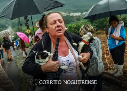 numero-de-desalojados-dobra-em-24-horas-no-rio-grande-do-sul-correio-nogueirense