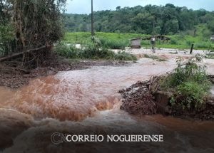 tragedia-sem-precedentes-no-campo-dizem-pequenos-agricultores-do-rs-correio-nogueirense