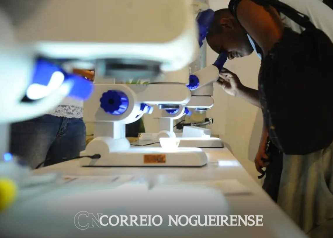 Design sem nome_20240605_091819_0000