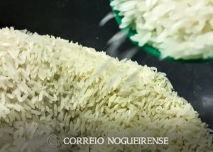 Design sem nome_20240612_093321_0000