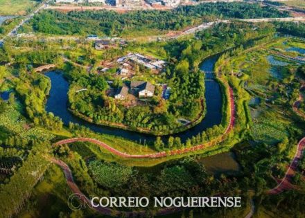 Design sem nome_20240624_090920_0000